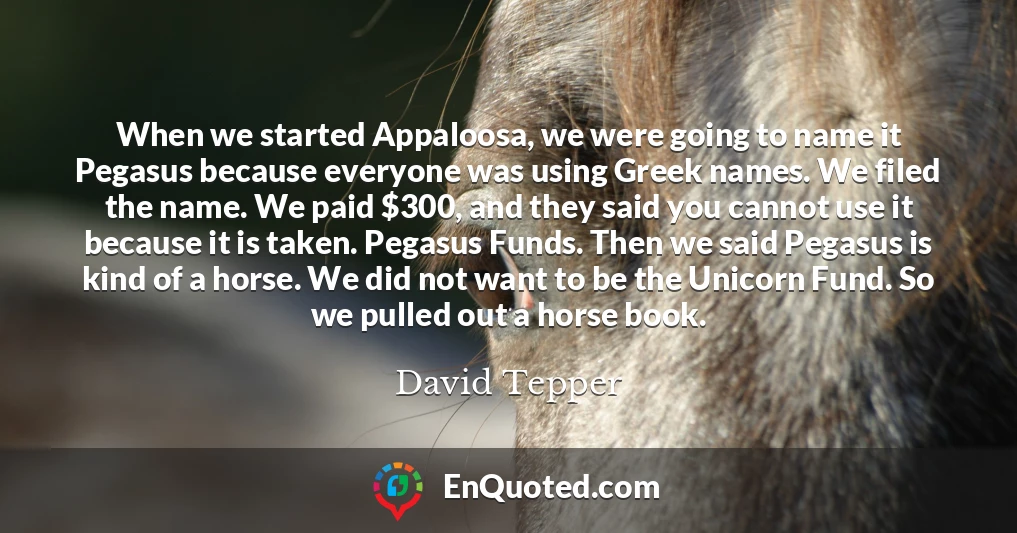 When we started Appaloosa, we were going to name it Pegasus because everyone was using Greek names. We filed the name. We paid $300, and they said you cannot use it because it is taken. Pegasus Funds. Then we said Pegasus is kind of a horse. We did not want to be the Unicorn Fund. So we pulled out a horse book.