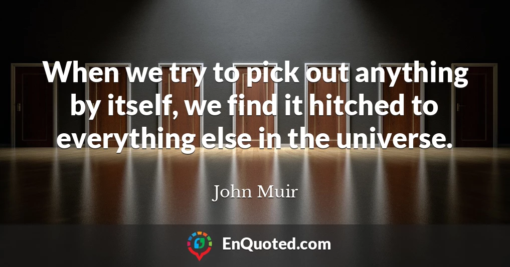 When we try to pick out anything by itself, we find it hitched to everything else in the universe.
