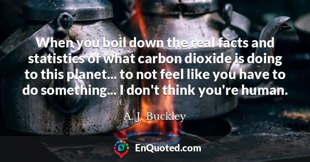 When you boil down the real facts and statistics of what carbon dioxide is doing to this planet... to not feel like you have to do something... I don't think you're human.