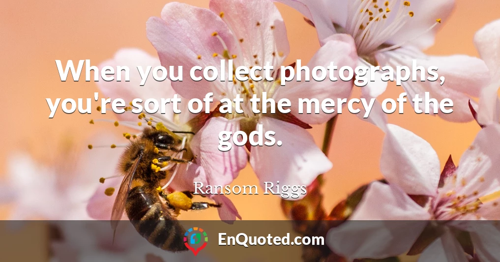 When you collect photographs, you're sort of at the mercy of the gods.