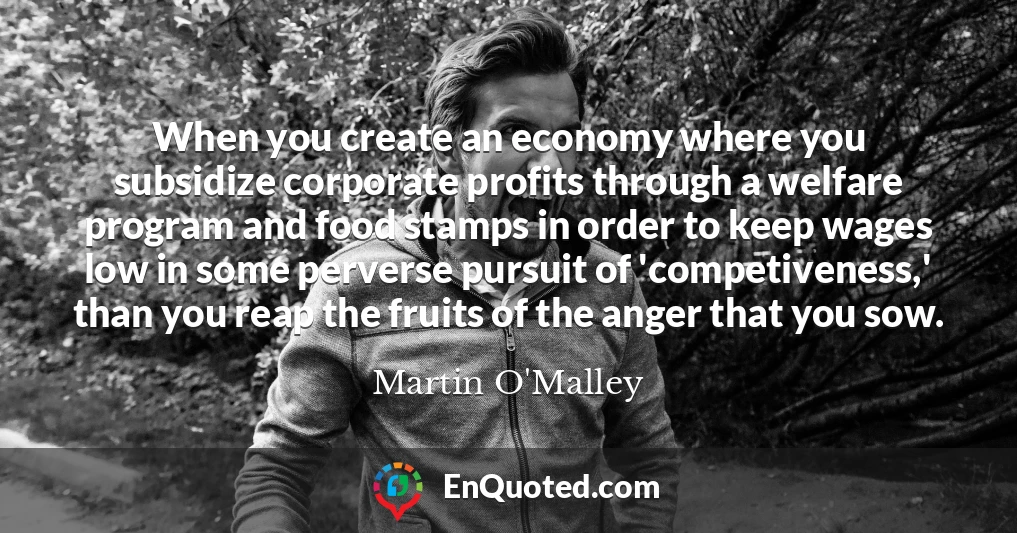 When you create an economy where you subsidize corporate profits through a welfare program and food stamps in order to keep wages low in some perverse pursuit of 'competiveness,' than you reap the fruits of the anger that you sow.