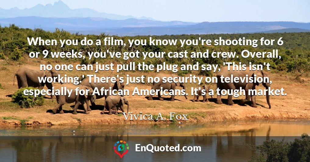 When you do a film, you know you're shooting for 6 or 9 weeks, you've got your cast and crew. Overall, no one can just pull the plug and say, 'This isn't working.' There's just no security on television, especially for African Americans. It's a tough market.
