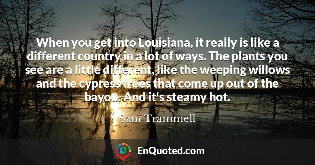 When you get into Louisiana, it really is like a different country in a lot of ways. The plants you see are a little different, like the weeping willows and the cypress trees that come up out of the bayou. And it's steamy hot.