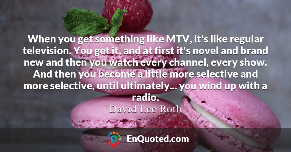 When you get something like MTV, it's like regular television. You get it, and at first it's novel and brand new and then you watch every channel, every show. And then you become a little more selective and more selective, until ultimately... you wind up with a radio.