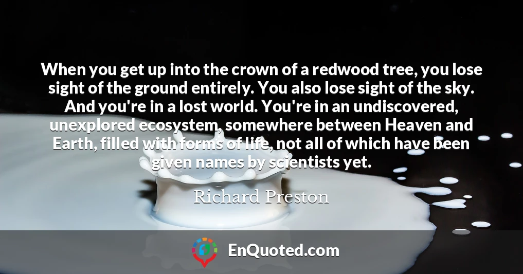 When you get up into the crown of a redwood tree, you lose sight of the ground entirely. You also lose sight of the sky. And you're in a lost world. You're in an undiscovered, unexplored ecosystem, somewhere between Heaven and Earth, filled with forms of life, not all of which have been given names by scientists yet.