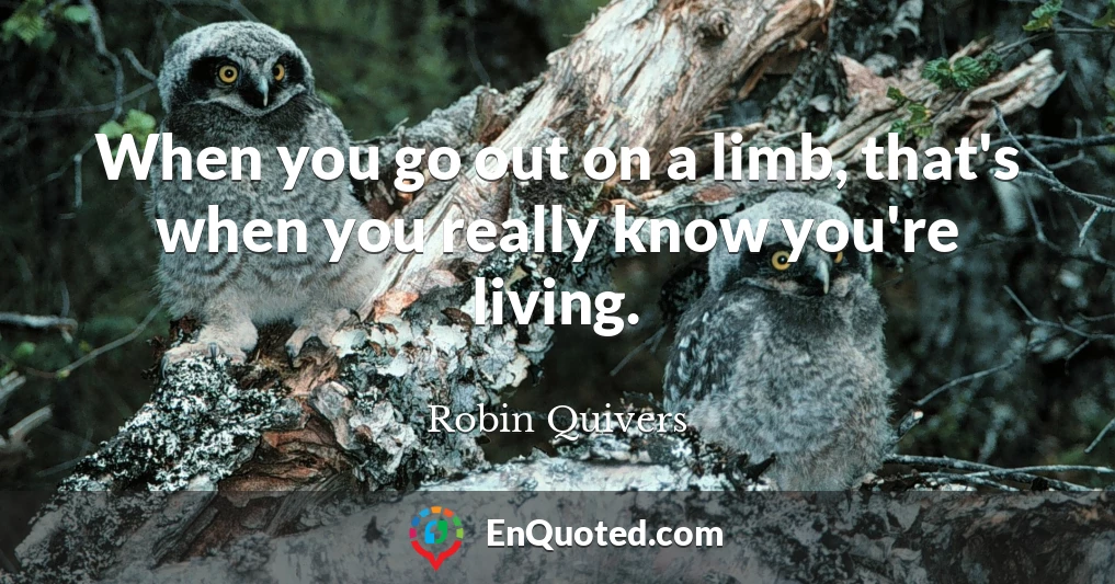 When you go out on a limb, that's when you really know you're living.