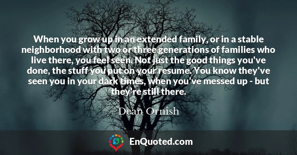 When you grow up in an extended family, or in a stable neighborhood with two or three generations of families who live there, you feel seen. Not just the good things you've done, the stuff you put on your resume. You know they've seen you in your dark times, when you've messed up - but they're still there.