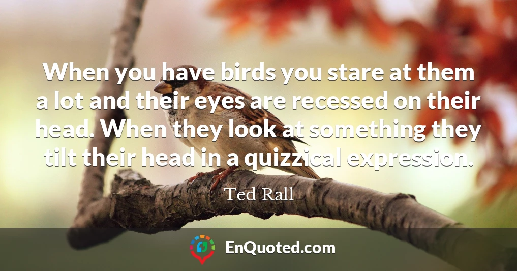 When you have birds you stare at them a lot and their eyes are recessed on their head. When they look at something they tilt their head in a quizzical expression.