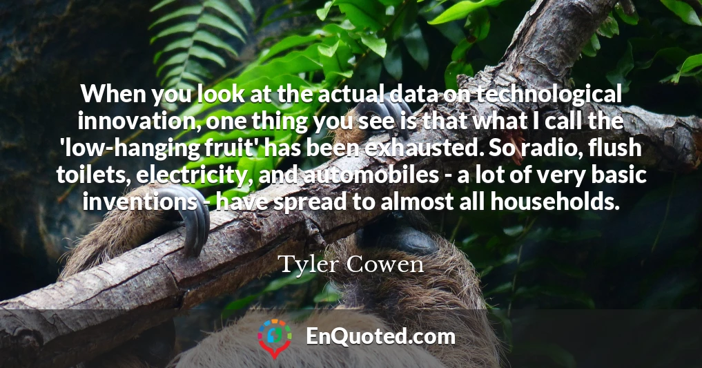 When you look at the actual data on technological innovation, one thing you see is that what I call the 'low-hanging fruit' has been exhausted. So radio, flush toilets, electricity, and automobiles - a lot of very basic inventions - have spread to almost all households.