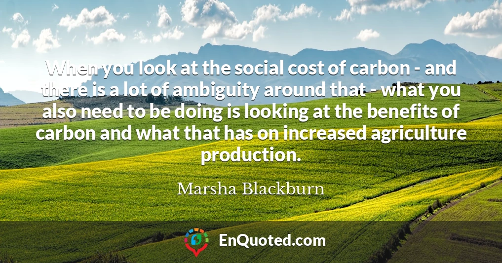 When you look at the social cost of carbon - and there is a lot of ambiguity around that - what you also need to be doing is looking at the benefits of carbon and what that has on increased agriculture production.