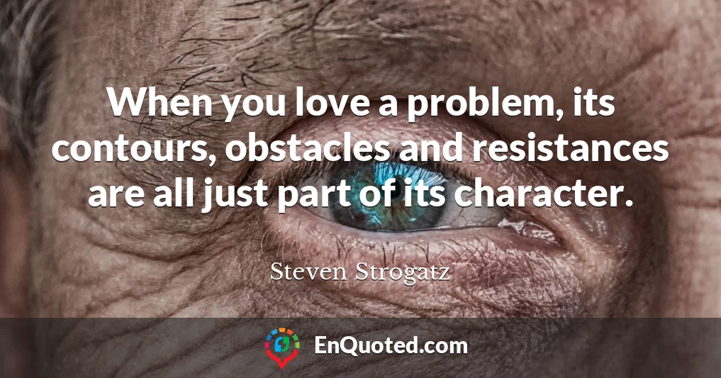 When you love a problem, its contours, obstacles and resistances are all just part of its character.