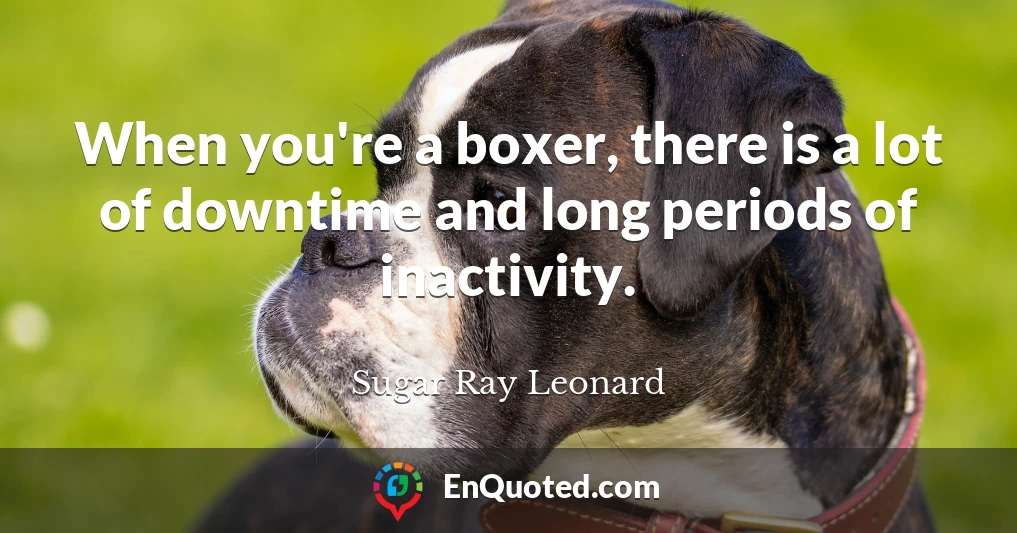 When you're a boxer, there is a lot of downtime and long periods of inactivity.