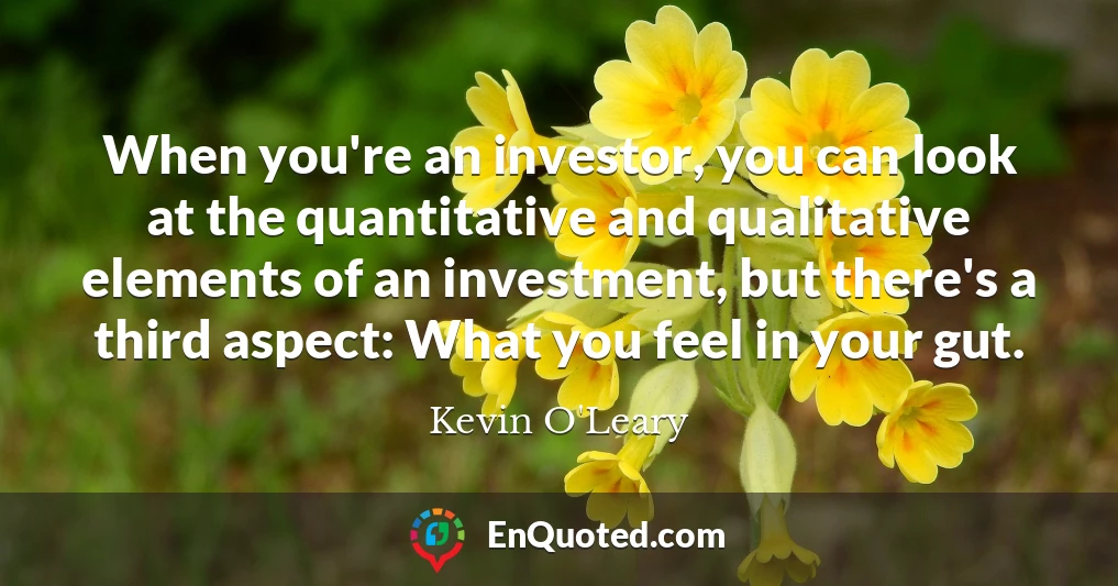 When you're an investor, you can look at the quantitative and qualitative elements of an investment, but there's a third aspect: What you feel in your gut.