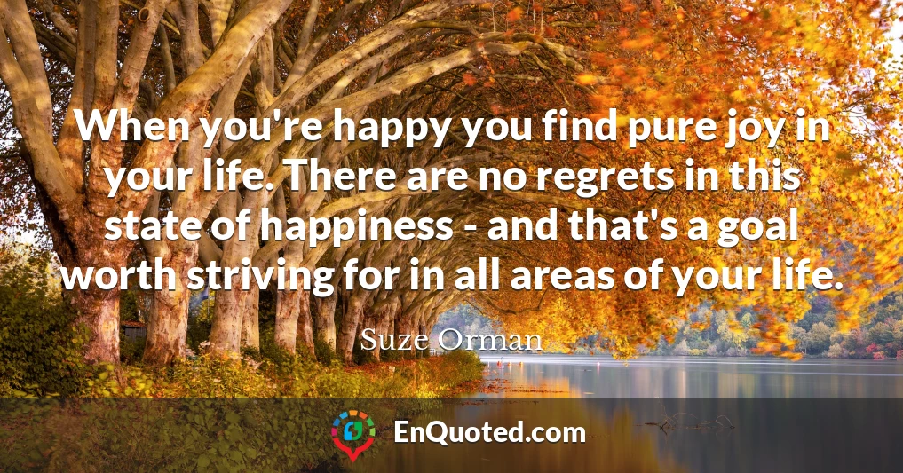When you're happy you find pure joy in your life. There are no regrets in this state of happiness - and that's a goal worth striving for in all areas of your life.