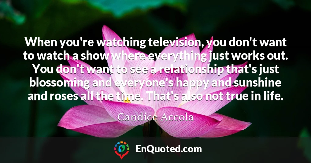 When you're watching television, you don't want to watch a show where everything just works out. You don't want to see a relationship that's just blossoming and everyone's happy and sunshine and roses all the time. That's also not true in life.
