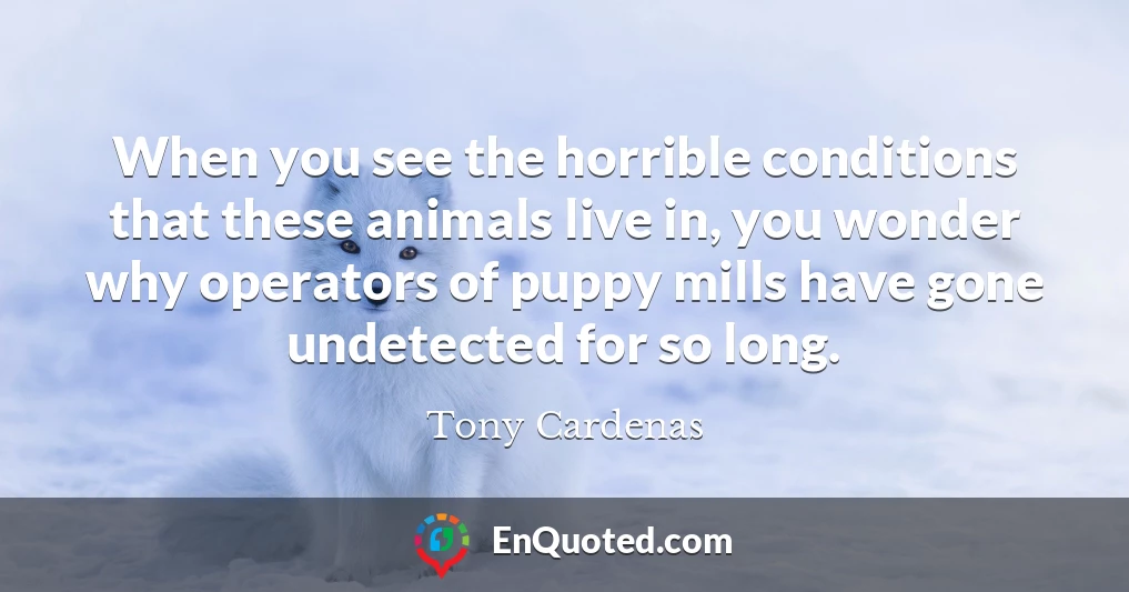 When you see the horrible conditions that these animals live in, you wonder why operators of puppy mills have gone undetected for so long.