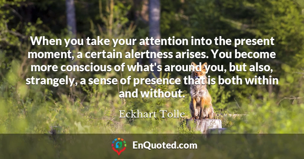 When you take your attention into the present moment, a certain alertness arises. You become more conscious of what's around you, but also, strangely, a sense of presence that is both within and without.