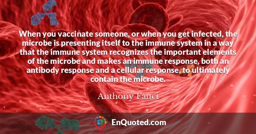 When you vaccinate someone, or when you get infected, the microbe is presenting itself to the immune system in a way that the immune system recognizes the important elements of the microbe and makes an immune response, both an antibody response and a cellular response, to ultimately contain the microbe.