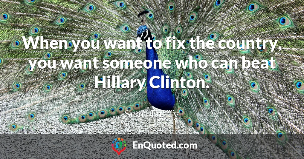 When you want to fix the country, you want someone who can beat Hillary Clinton.
