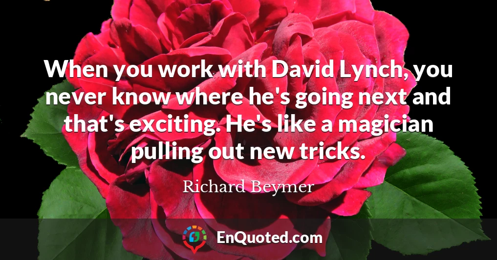 When you work with David Lynch, you never know where he's going next and that's exciting. He's like a magician pulling out new tricks.