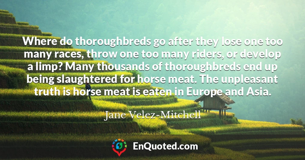 Where do thoroughbreds go after they lose one too many races, throw one too many riders, or develop a limp? Many thousands of thoroughbreds end up being slaughtered for horse meat. The unpleasant truth is horse meat is eaten in Europe and Asia.