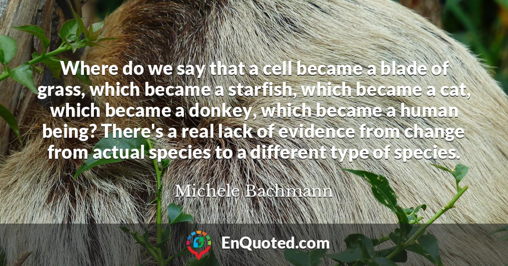 Where do we say that a cell became a blade of grass, which became a starfish, which became a cat, which became a donkey, which became a human being? There's a real lack of evidence from change from actual species to a different type of species.