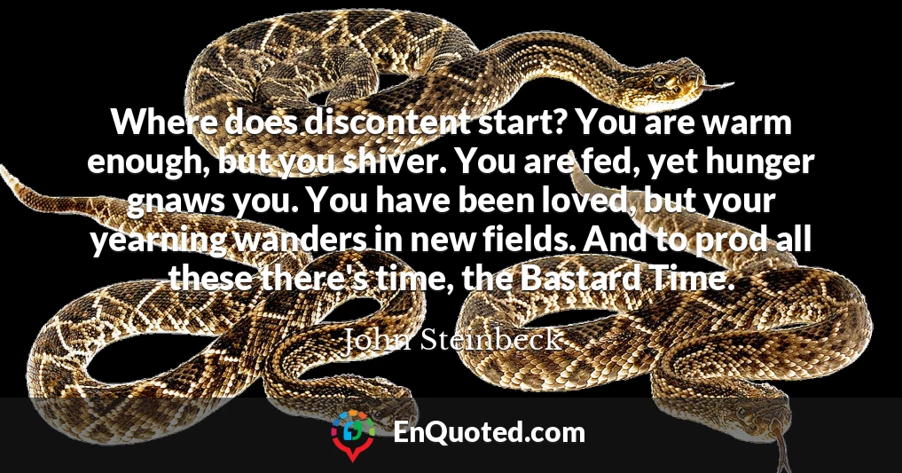 Where does discontent start? You are warm enough, but you shiver. You are fed, yet hunger gnaws you. You have been loved, but your yearning wanders in new fields. And to prod all these there's time, the Bastard Time.