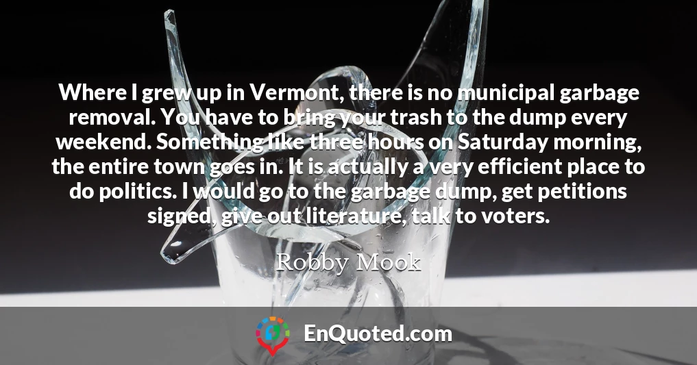 Where I grew up in Vermont, there is no municipal garbage removal. You have to bring your trash to the dump every weekend. Something like three hours on Saturday morning, the entire town goes in. It is actually a very efficient place to do politics. I would go to the garbage dump, get petitions signed, give out literature, talk to voters.