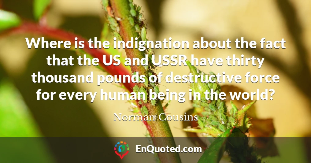 Where is the indignation about the fact that the US and USSR have thirty thousand pounds of destructive force for every human being in the world?