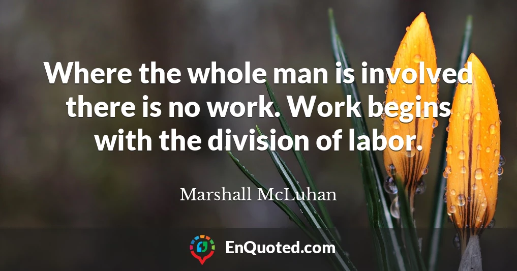 Where the whole man is involved there is no work. Work begins with the division of labor.