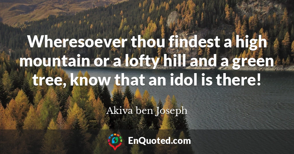 Wheresoever thou findest a high mountain or a lofty hill and a green tree, know that an idol is there!