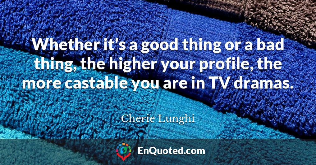 Whether it's a good thing or a bad thing, the higher your profile, the more castable you are in TV dramas.