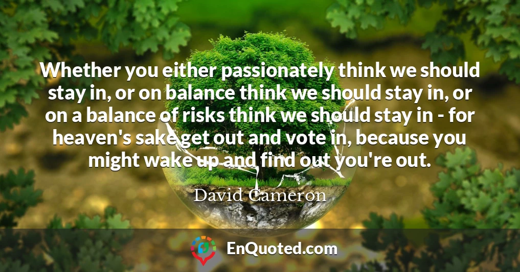 Whether you either passionately think we should stay in, or on balance think we should stay in, or on a balance of risks think we should stay in - for heaven's sake get out and vote in, because you might wake up and find out you're out.