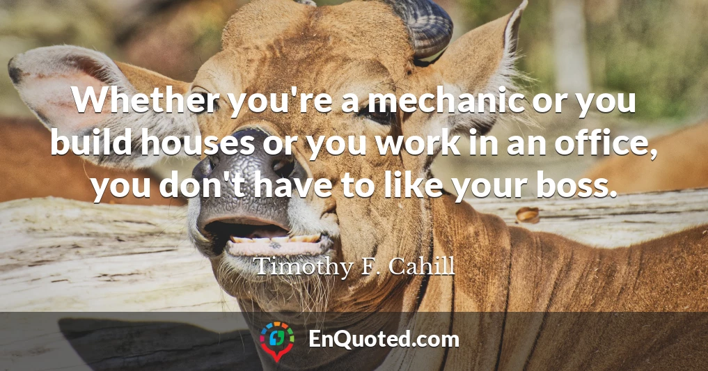 Whether you're a mechanic or you build houses or you work in an office, you don't have to like your boss.