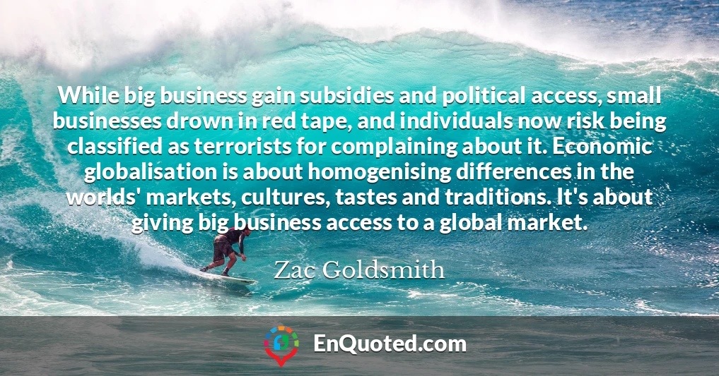 While big business gain subsidies and political access, small businesses drown in red tape, and individuals now risk being classified as terrorists for complaining about it. Economic globalisation is about homogenising differences in the worlds' markets, cultures, tastes and traditions. It's about giving big business access to a global market.