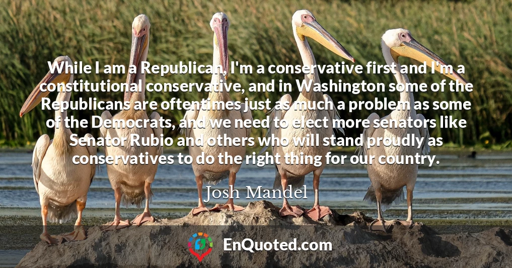 While I am a Republican, I'm a conservative first and I'm a constitutional conservative, and in Washington some of the Republicans are oftentimes just as much a problem as some of the Democrats, and we need to elect more senators like Senator Rubio and others who will stand proudly as conservatives to do the right thing for our country.