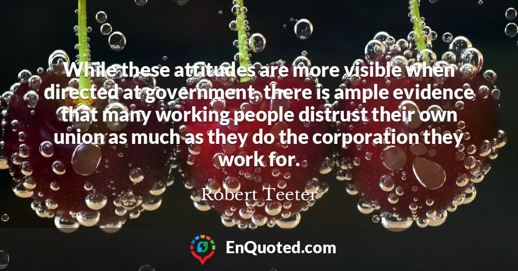 While these attitudes are more visible when directed at government, there is ample evidence that many working people distrust their own union as much as they do the corporation they work for.