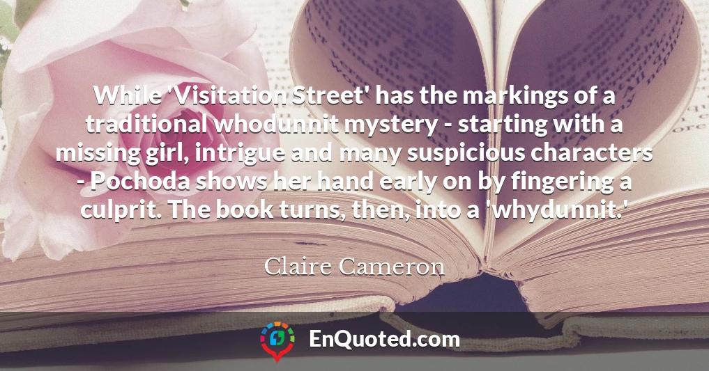 While 'Visitation Street' has the markings of a traditional whodunnit mystery - starting with a missing girl, intrigue and many suspicious characters - Pochoda shows her hand early on by fingering a culprit. The book turns, then, into a 'whydunnit.'
