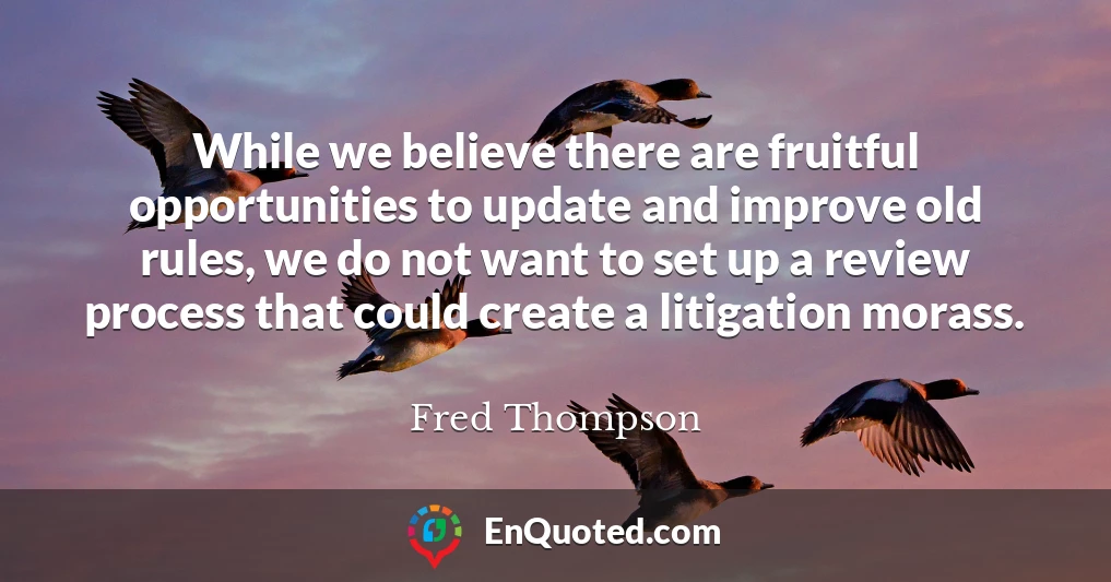 While we believe there are fruitful opportunities to update and improve old rules, we do not want to set up a review process that could create a litigation morass.