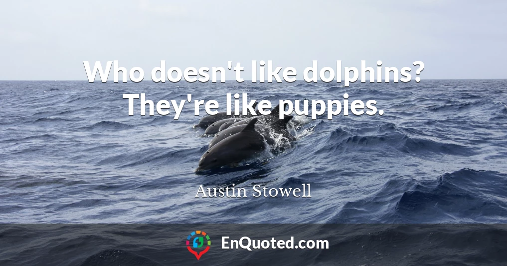 Who doesn't like dolphins? They're like puppies.