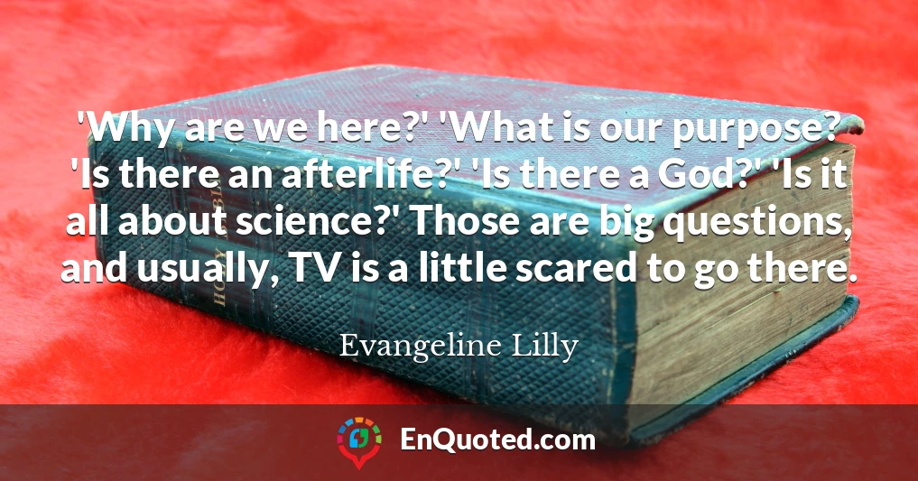 'Why are we here?' 'What is our purpose? 'Is there an afterlife?' 'Is there a God?' 'Is it all about science?' Those are big questions, and usually, TV is a little scared to go there.