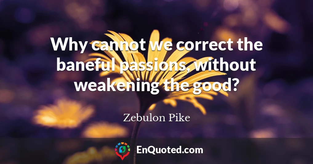 Why cannot we correct the baneful passions, without weakening the good?