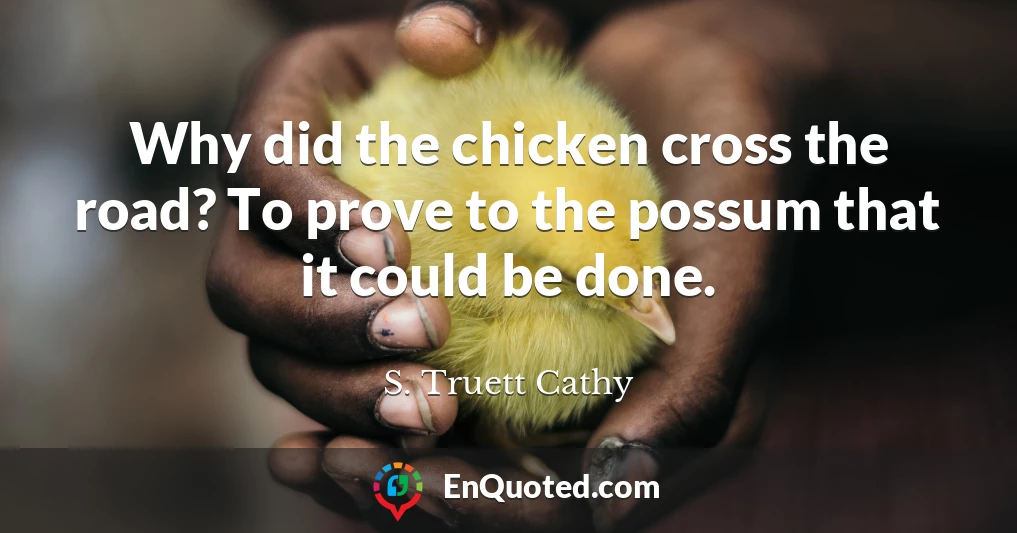 Why did the chicken cross the road? To prove to the possum that it could be done.
