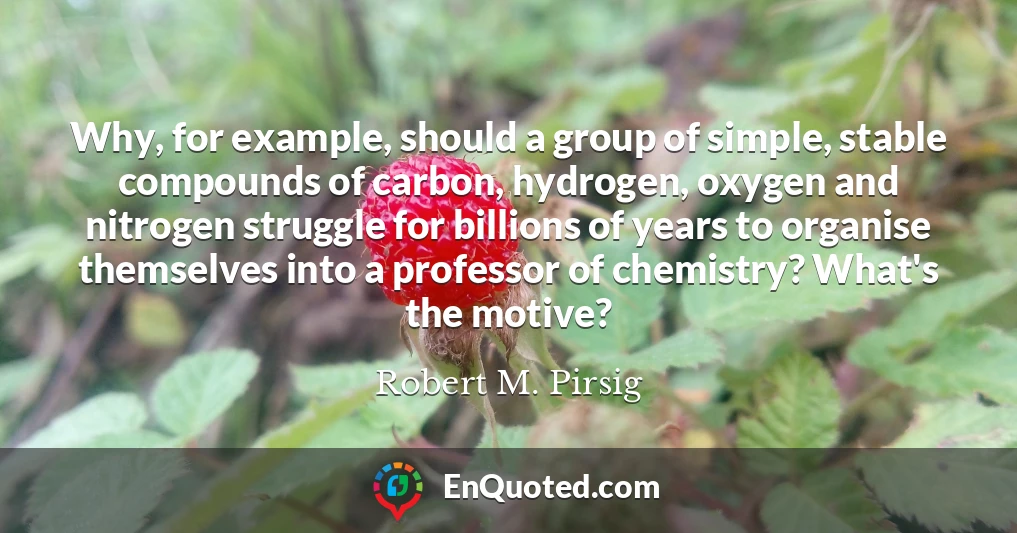 Why, for example, should a group of simple, stable compounds of carbon, hydrogen, oxygen and nitrogen struggle for billions of years to organise themselves into a professor of chemistry? What's the motive?