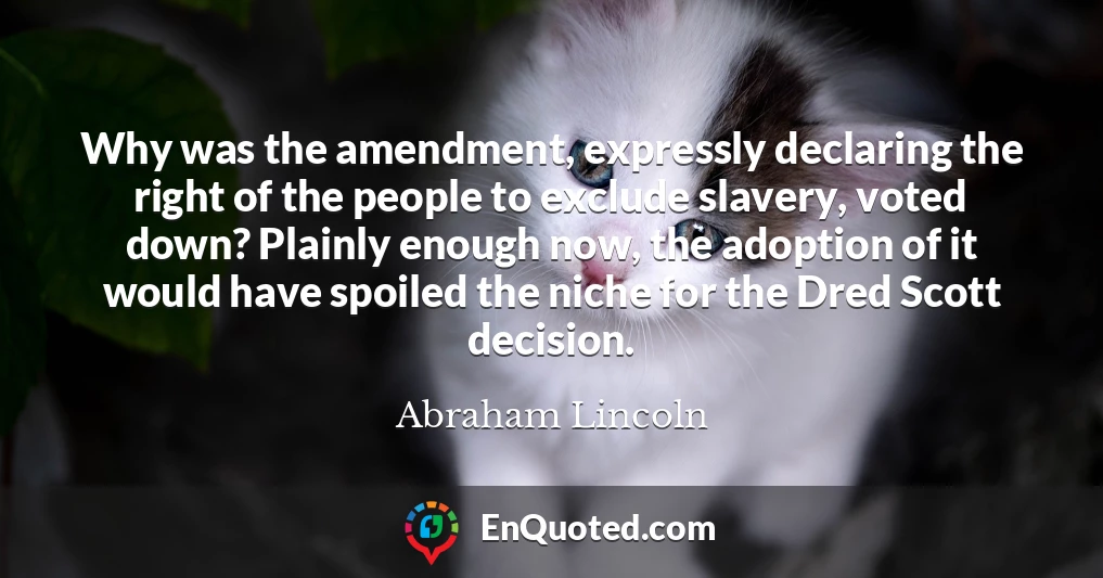 Why was the amendment, expressly declaring the right of the people to exclude slavery, voted down? Plainly enough now, the adoption of it would have spoiled the niche for the Dred Scott decision.