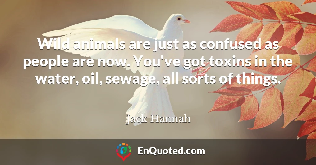 Wild animals are just as confused as people are now. You've got toxins in the water, oil, sewage, all sorts of things.