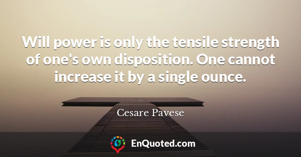 Will power is only the tensile strength of one's own disposition. One cannot increase it by a single ounce.