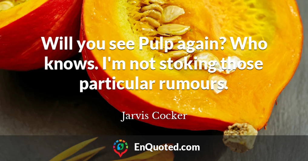 Will you see Pulp again? Who knows. I'm not stoking those particular rumours.