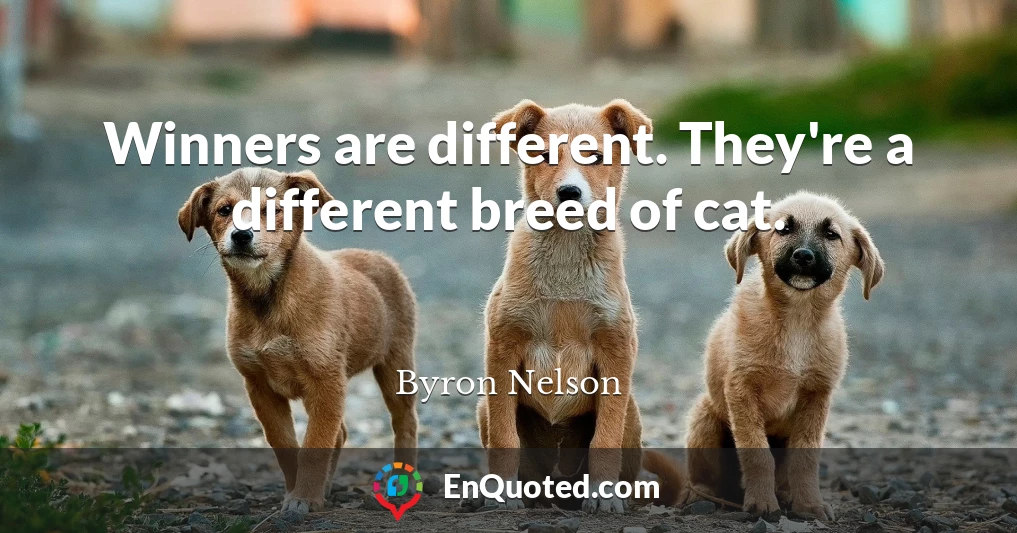 Winners are different. They're a different breed of cat.