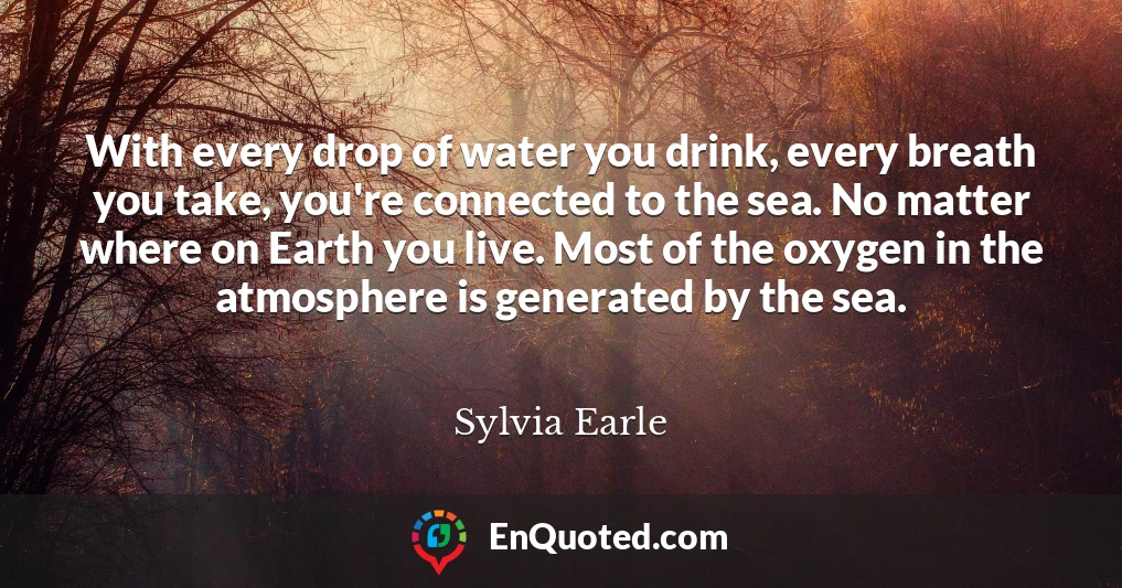 With every drop of water you drink, every breath you take, you're connected to the sea. No matter where on Earth you live. Most of the oxygen in the atmosphere is generated by the sea.